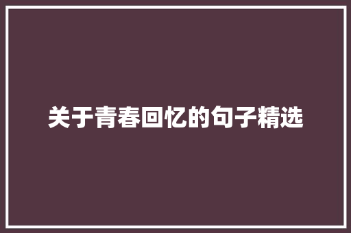 关于青春回忆的句子精选