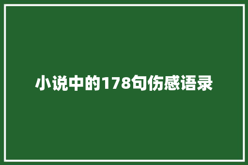 小说中的178句伤感语录