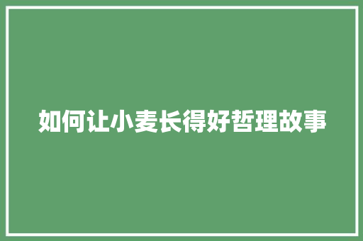 如何让小麦长得好哲理故事