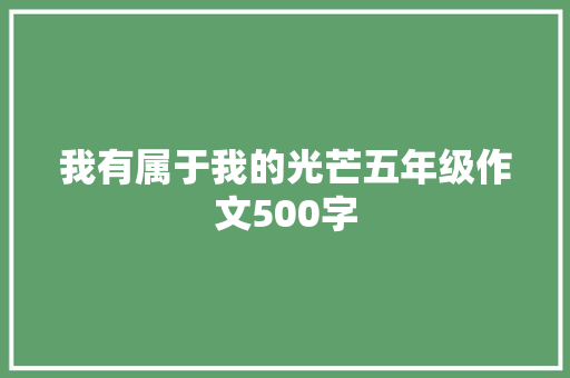 我有属于我的光芒五年级作文500字