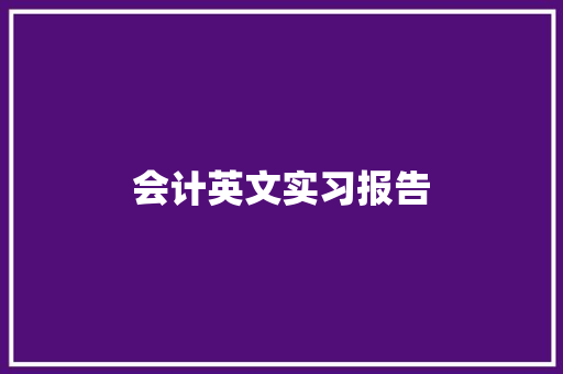 会计英文实习报告 工作总结范文