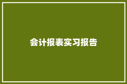 会计报表实习报告