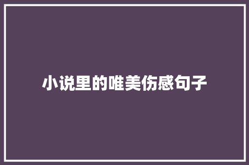 小说里的唯美伤感句子