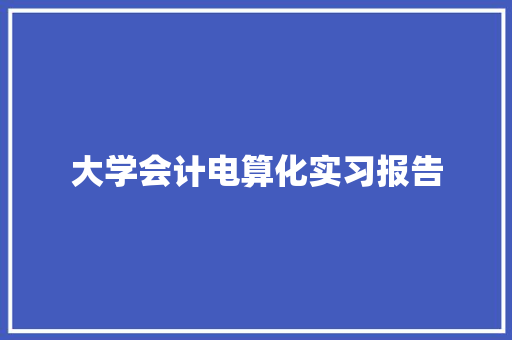 大学会计电算化实习报告