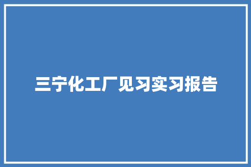 三宁化工厂见习实习报告