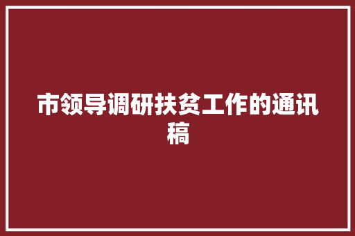 市领导调研扶贫工作的通讯稿