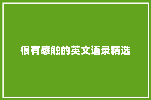 很有感触的英文语录精选