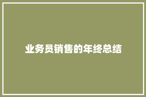 业务员销售的年终总结