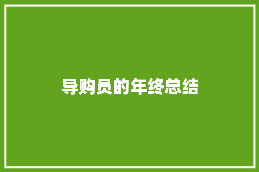 导购员的年终总结