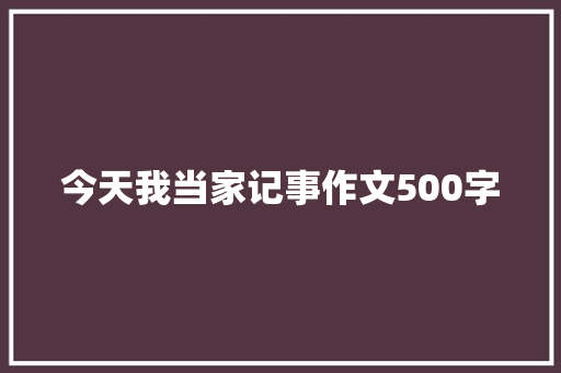 今天我当家记事作文500字