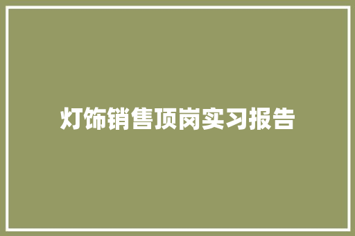 灯饰销售顶岗实习报告