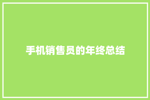 手机销售员的年终总结