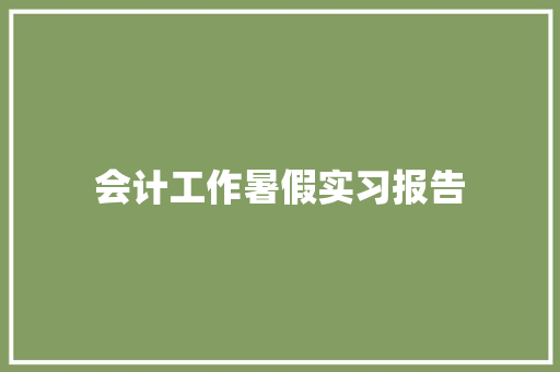 会计工作暑假实习报告