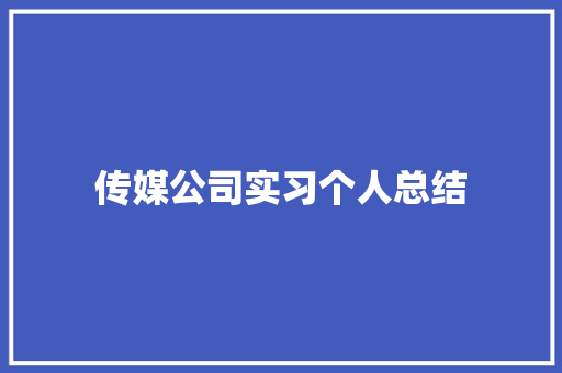 传媒公司实习个人总结