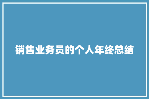 销售业务员的个人年终总结