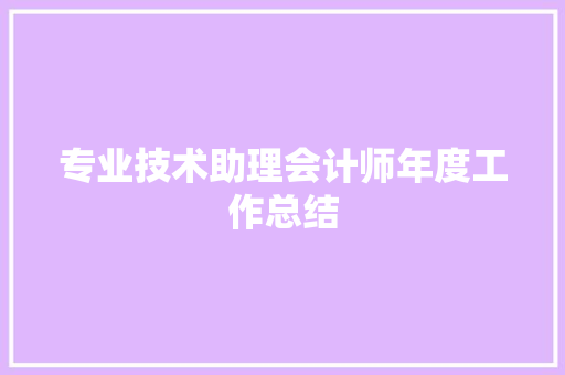 专业技术助理会计师年度工作总结