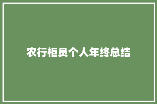 农行柜员个人年终总结