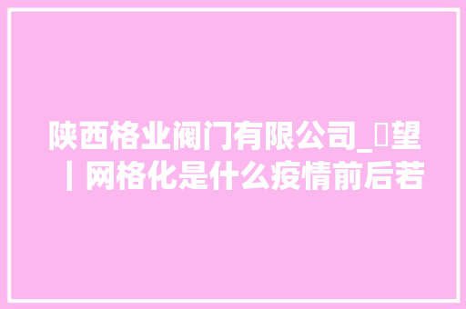 陕西格业阀门有限公司_瞭望｜网格化是什么疫情前后若安在基层治理中发挥浸染