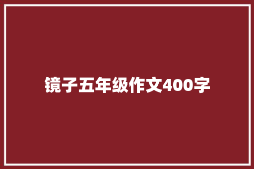 镜子五年级作文400字 求职信范文