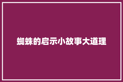 蜘蛛的启示小故事大道理