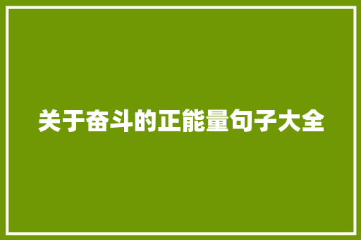 关于奋斗的正能量句子大全