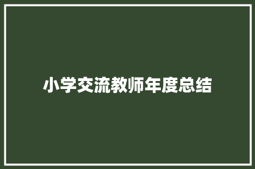 小学交流教师年度总结