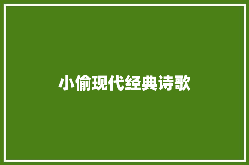 小偷现代经典诗歌