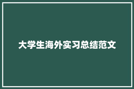 大学生海外实习总结范文