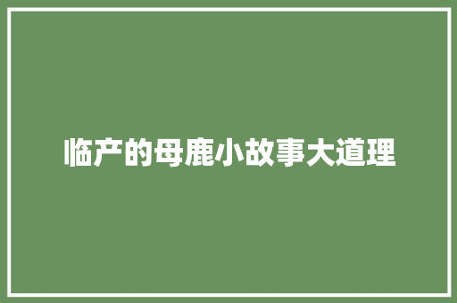 临产的母鹿小故事大道理