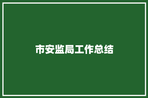 市安监局工作总结