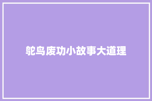 鸵鸟废功小故事大道理