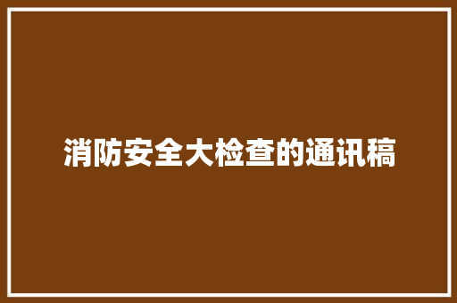 消防安全大检查的通讯稿