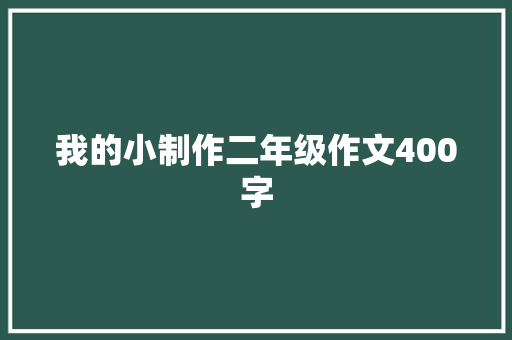 我的小制作二年级作文400字