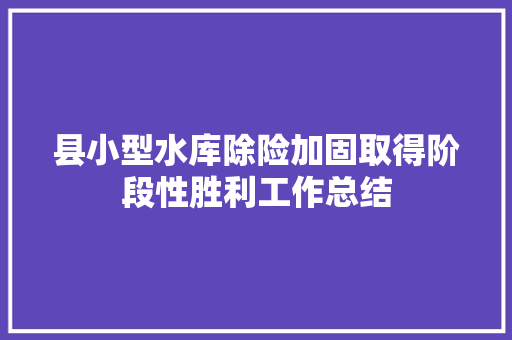 县小型水库除险加固取得阶段性胜利工作总结