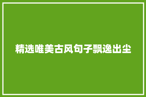 精选唯美古风句子飘逸出尘