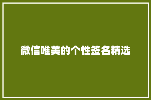 微信唯美的个性签名精选