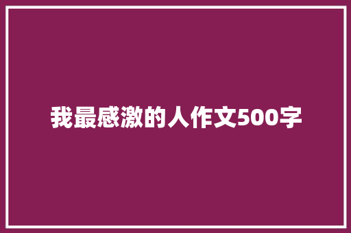 我最感激的人作文500字