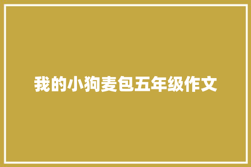 我的小狗麦包五年级作文