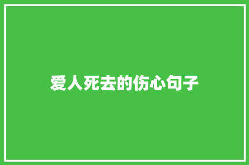 爱人死去的伤心句子