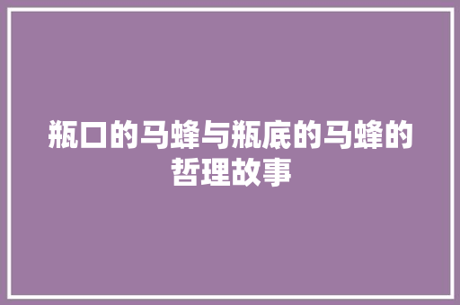 瓶口的马蜂与瓶底的马蜂的哲理故事