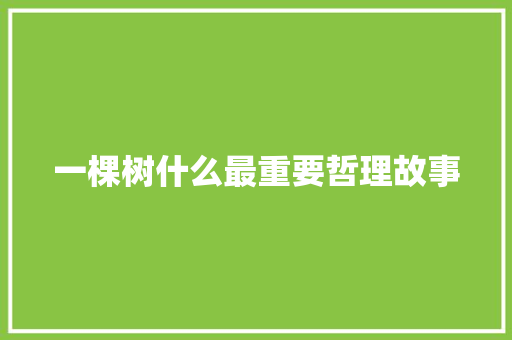 一棵树什么最重要哲理故事