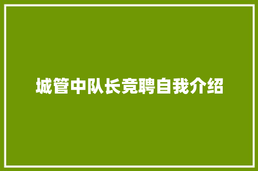 城管中队长竞聘自我介绍