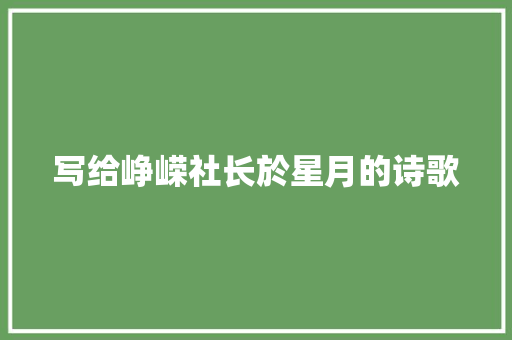 写给峥嵘社长於星月的诗歌