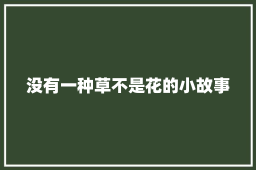 没有一种草不是花的小故事