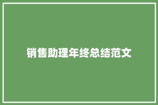 销售助理年终总结范文