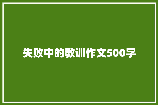 失败中的教训作文500字