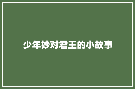 少年妙对君王的小故事