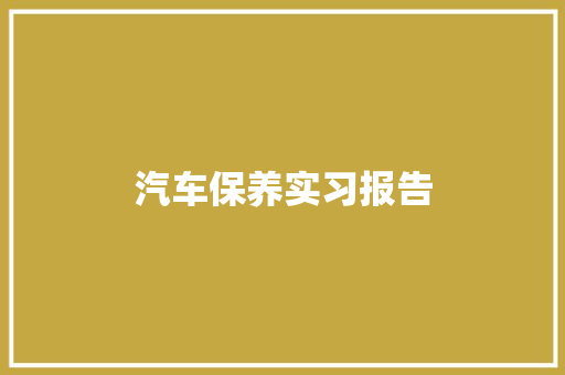 汽车保养实习报告