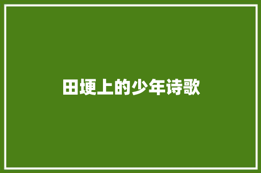 田埂上的少年诗歌