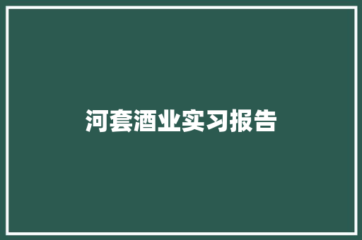 河套酒业实习报告